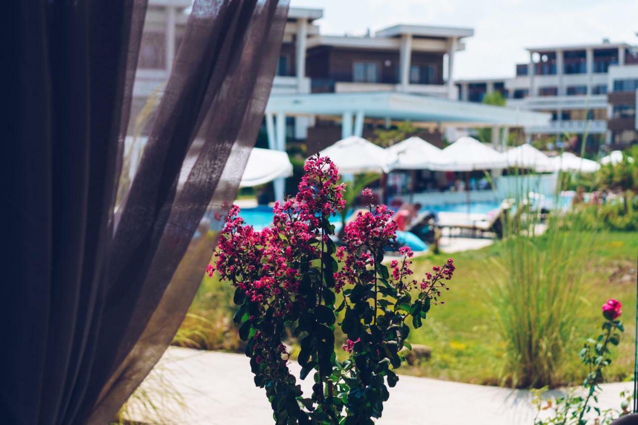 Apolonia Resort سوزوبول المظهر الخارجي الصورة
